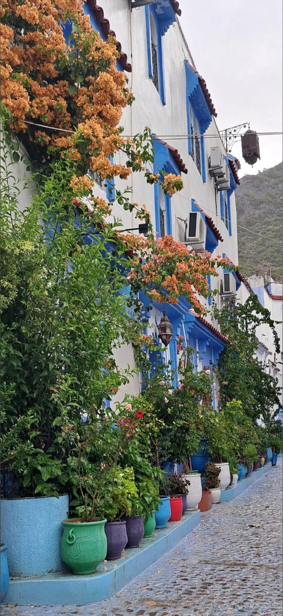 Dar Yakout Hotel Chefchaouen Eksteriør billede
